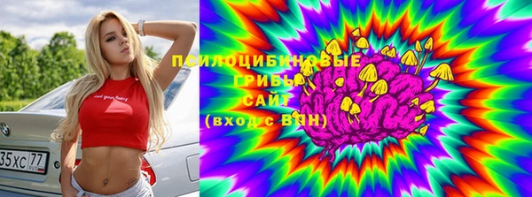 Альфа ПВП Надым